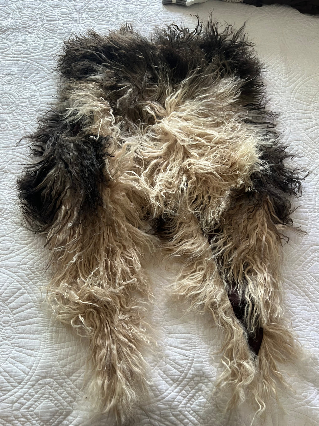 Faux fur vest