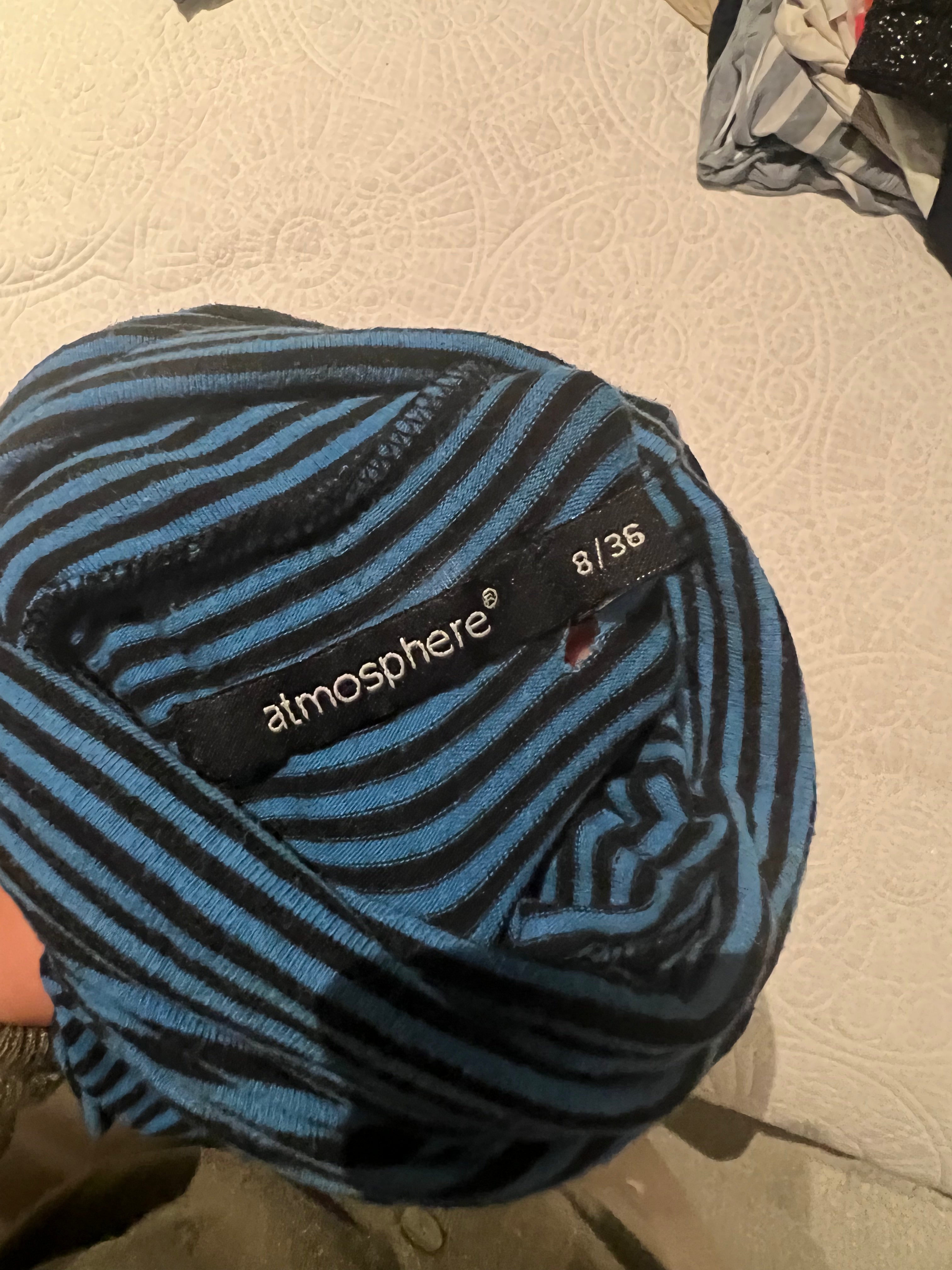 Blue stripped turtle neck top
